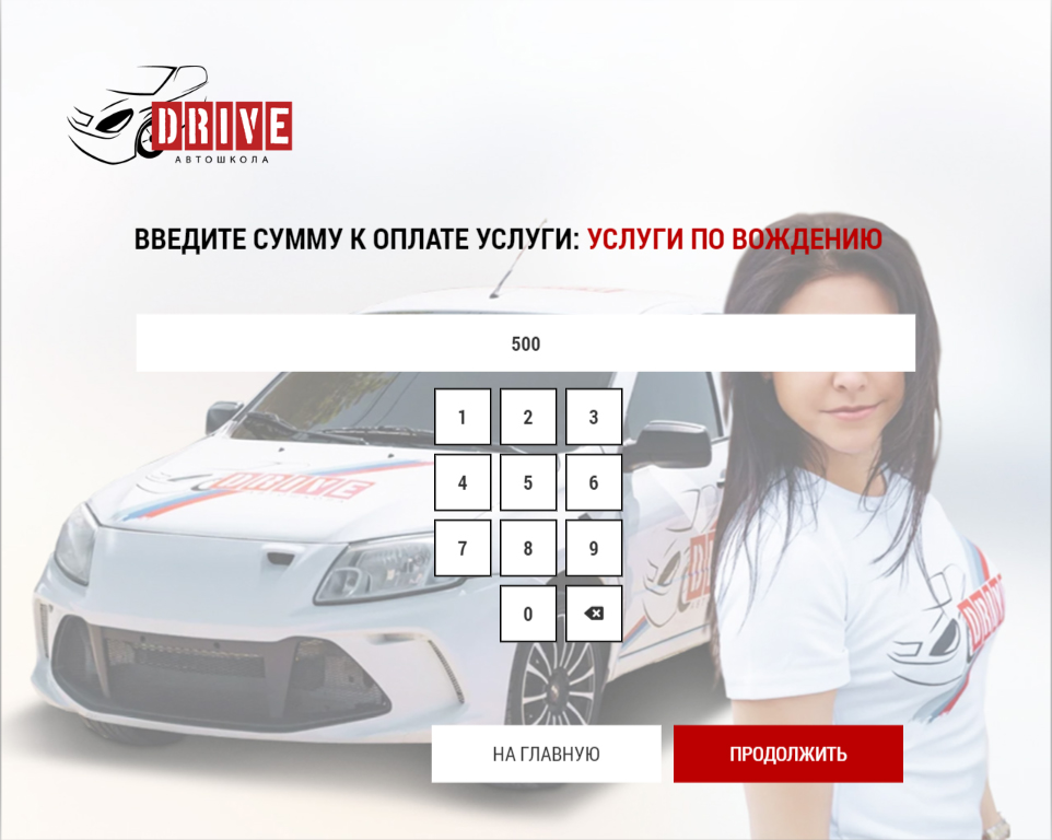 электронный кассир для СНТ: данные по электричеству